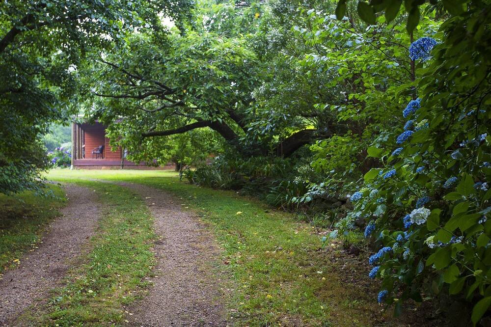 Photo of Outdoor in Mount Tomah