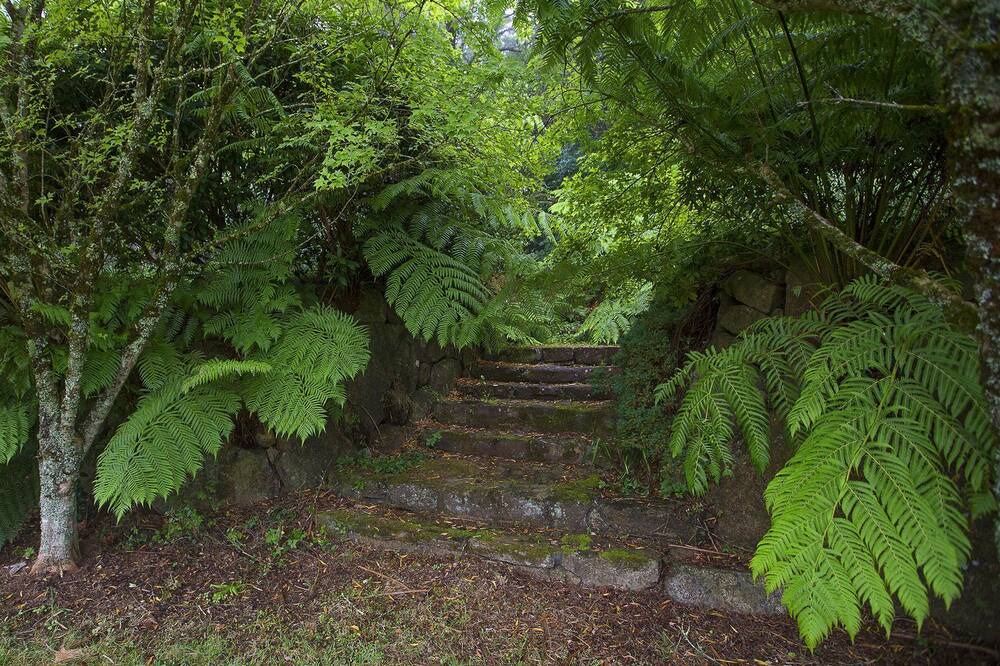Photo of Outdoor in Mount Tomah