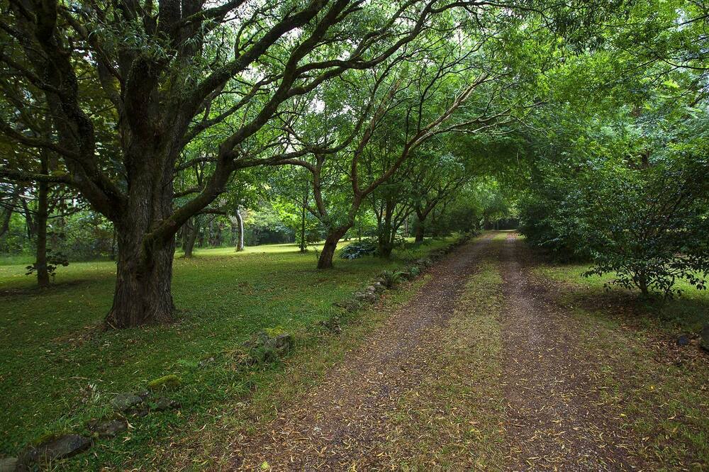Photo of Outdoor in Mount Tomah