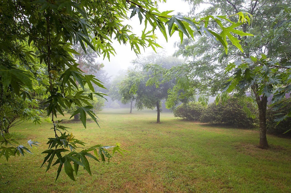 Photo of Outdoor in Mount Tomah