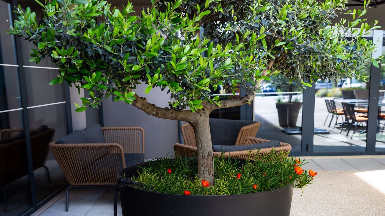 Photo of Outdoor in Aubagne