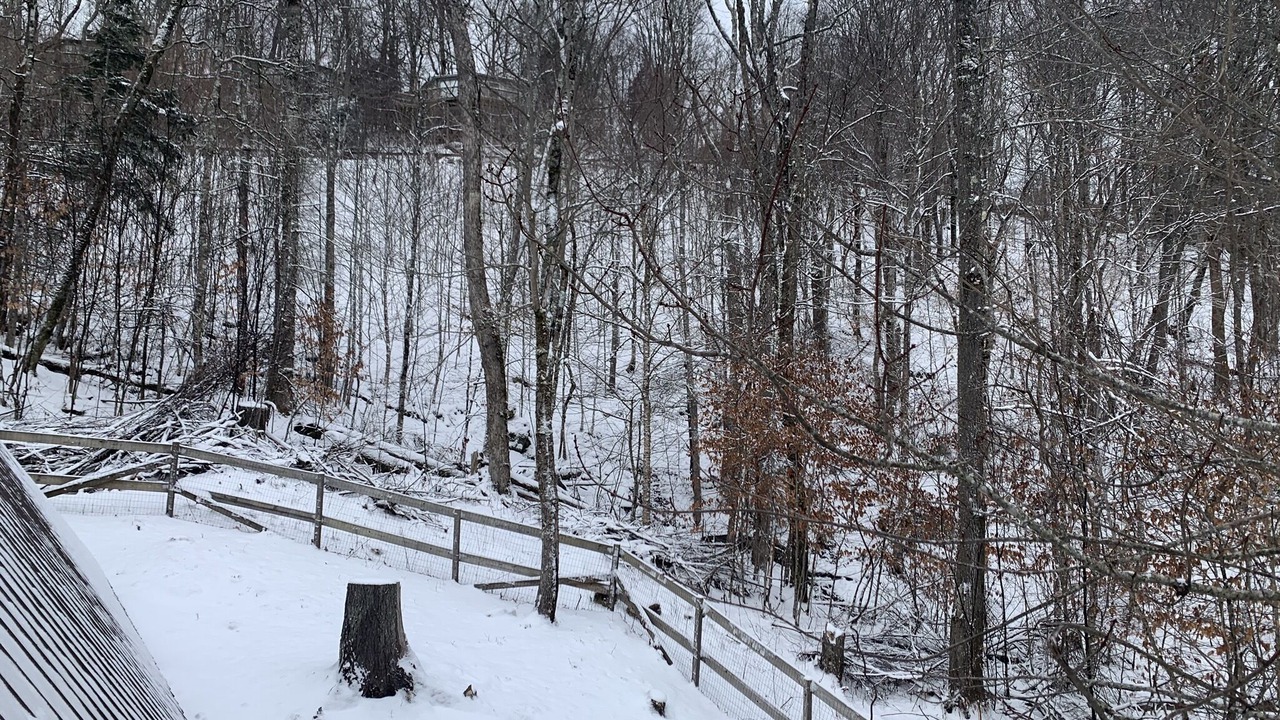 Photo of Others in Beech Mountain