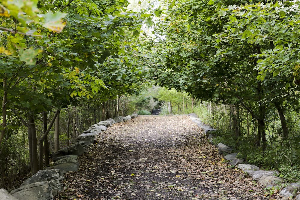 Photo of Others in Highland Mills