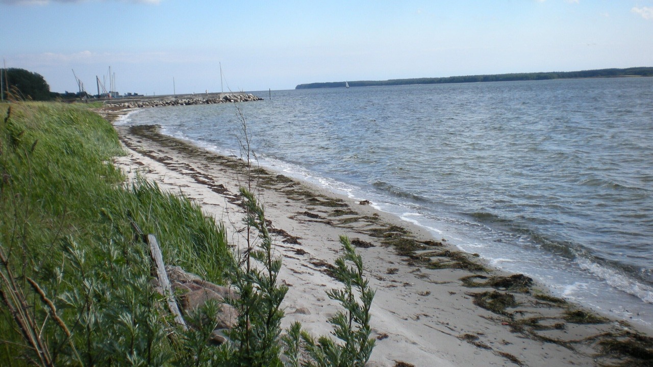 Photo of Others in Askeby