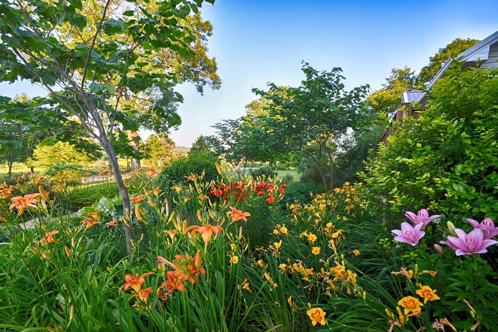 Photo of Others in Potosi