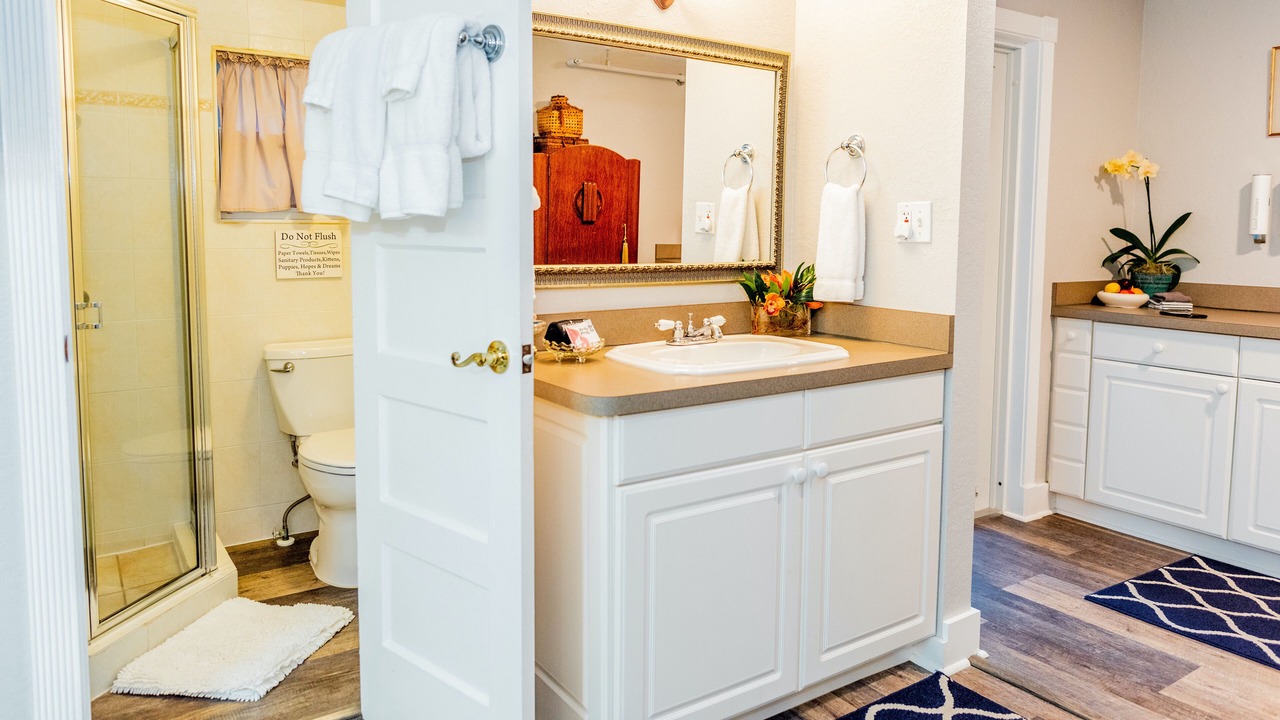 Photo of Bathroom in Downtown Dunedin
