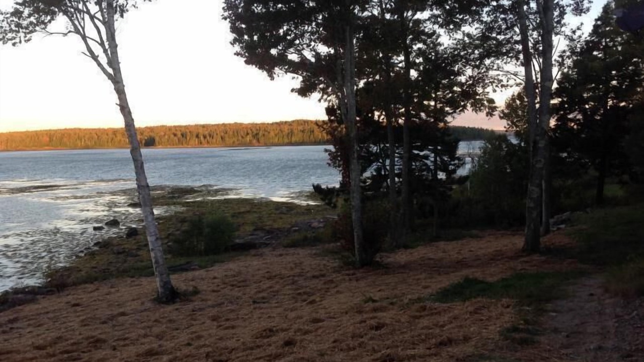 Photo of Others in South Gouldsboro