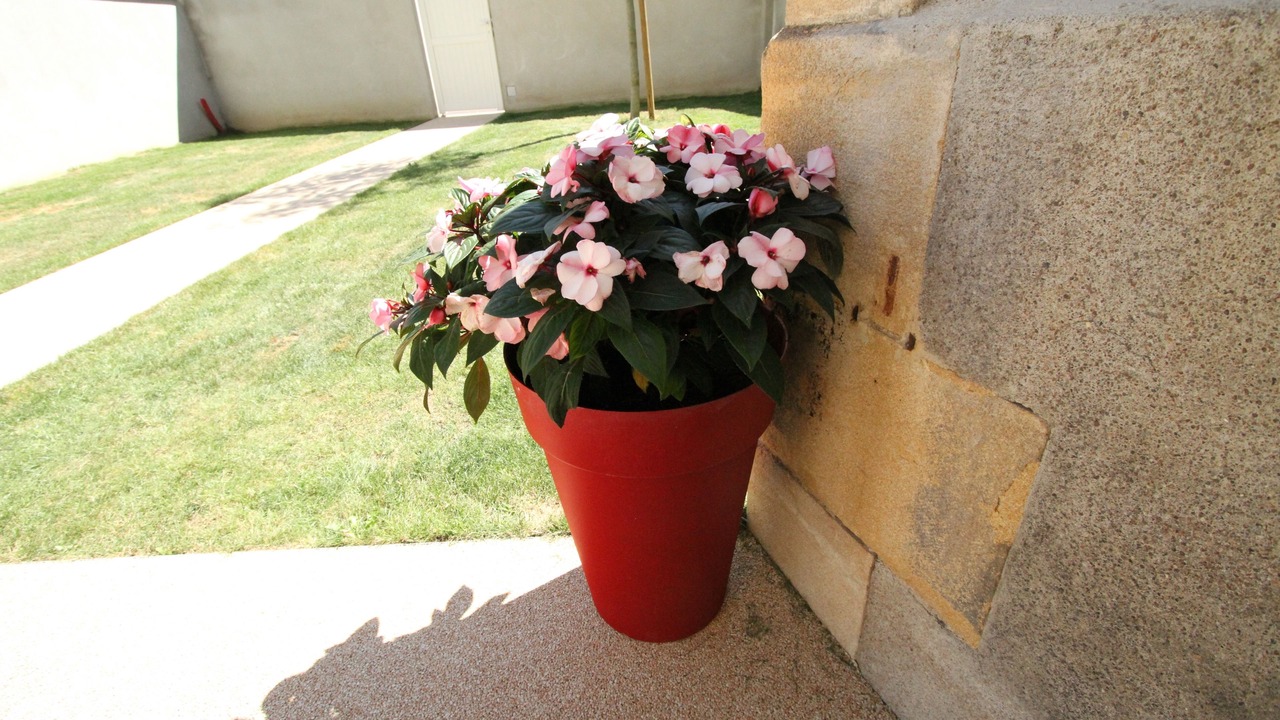 Photo of Outdoor in Paray-le-Monial