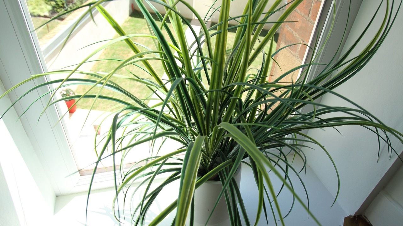 Photo of Others in Paray-le-Monial