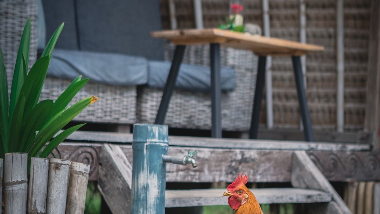 Photo of Outdoor in Gili Meno