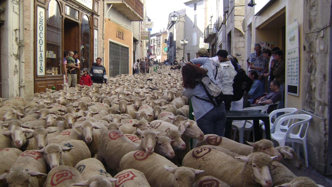 Photo of Others in Die