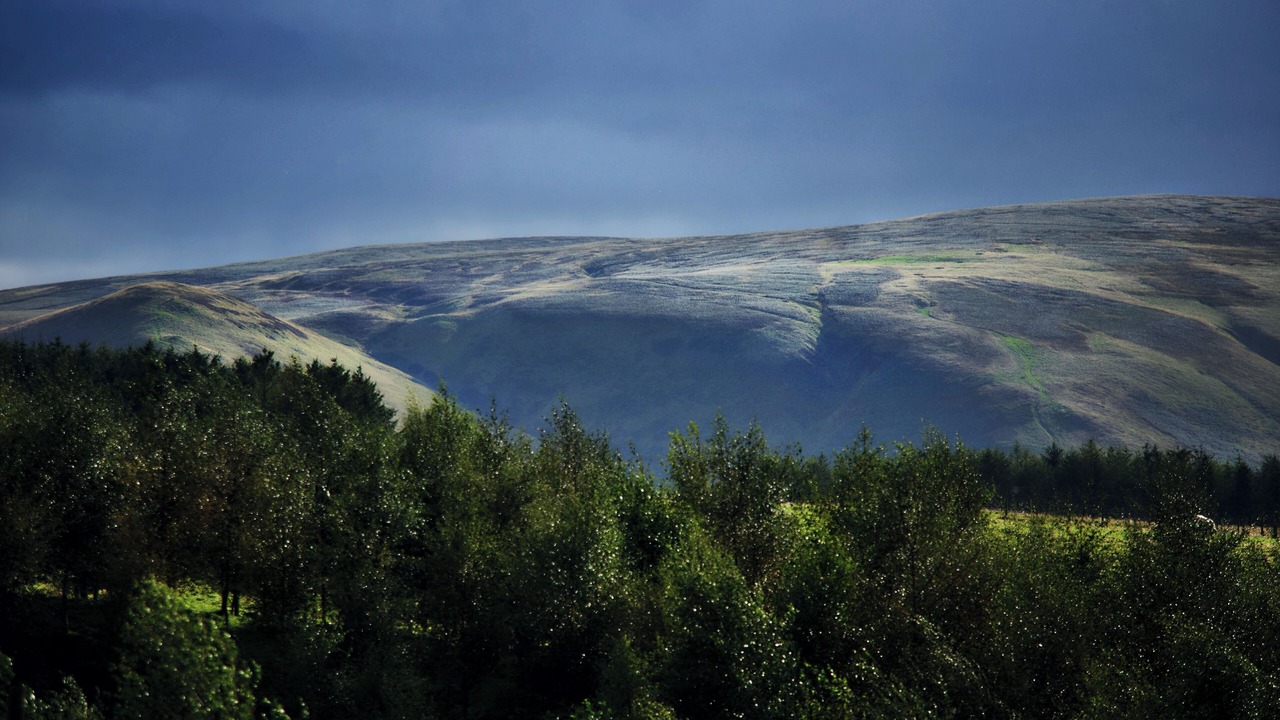 Photo of Others in Gorebridge