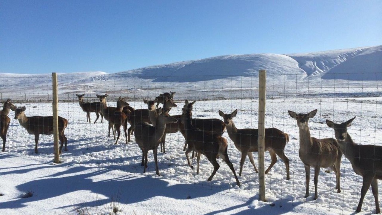 Photo of Others in Gorebridge
