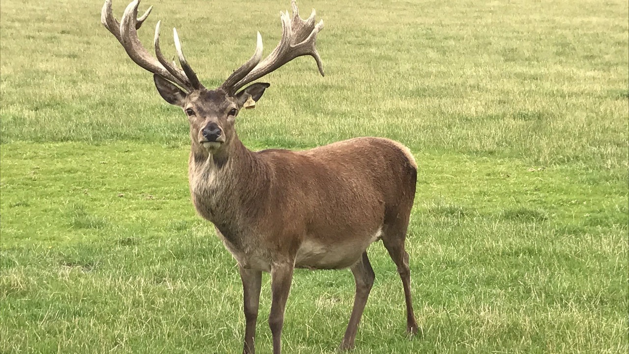 Photo of Others in Gorebridge