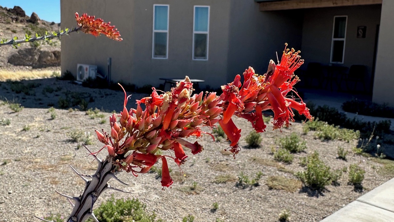 Photo of Bedroom in Study Butte-Terlingua