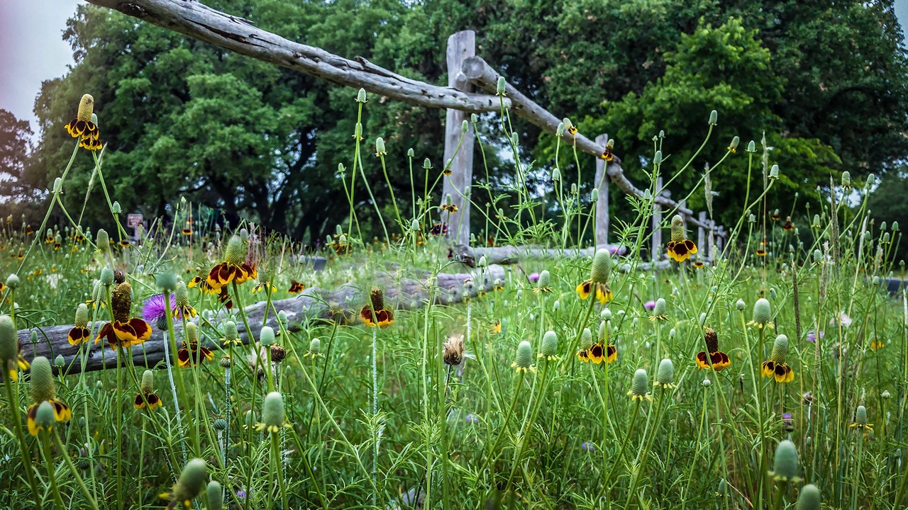 Photo of Outdoor in Wimberley