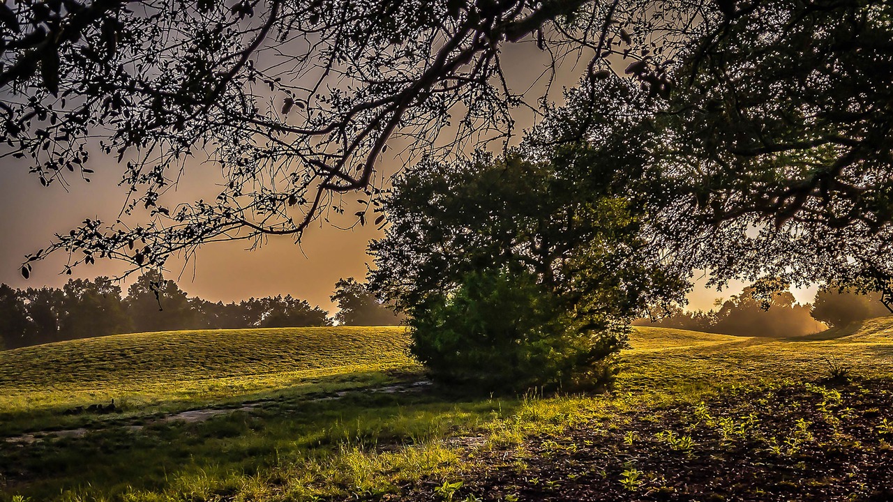 Photo of Outdoor in Wimberley