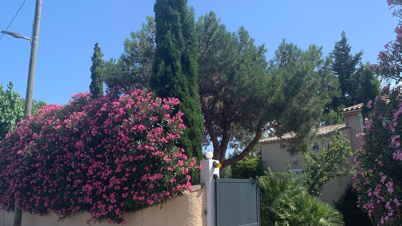 Photo of Outdoor in Cuxac-dʼAude