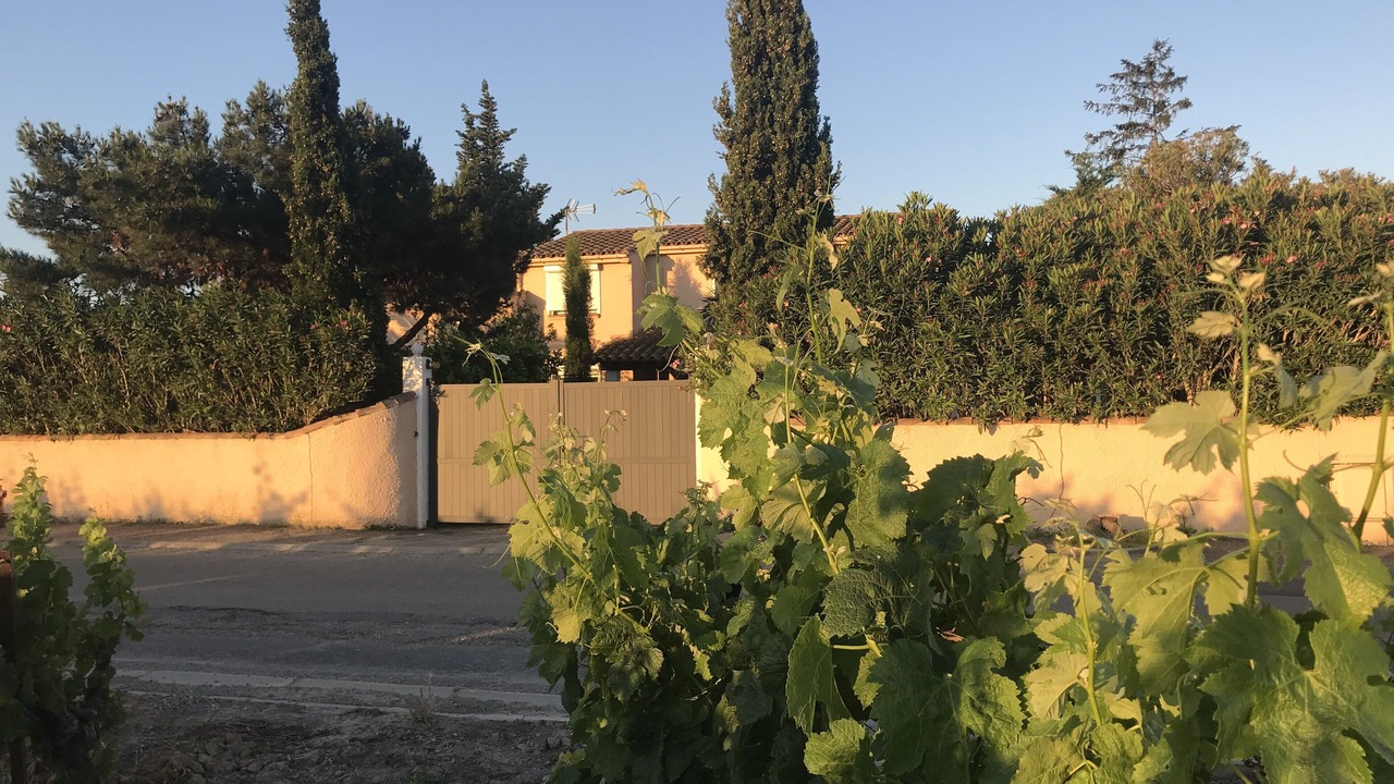 Photo of Outdoor in Cuxac-dʼAude