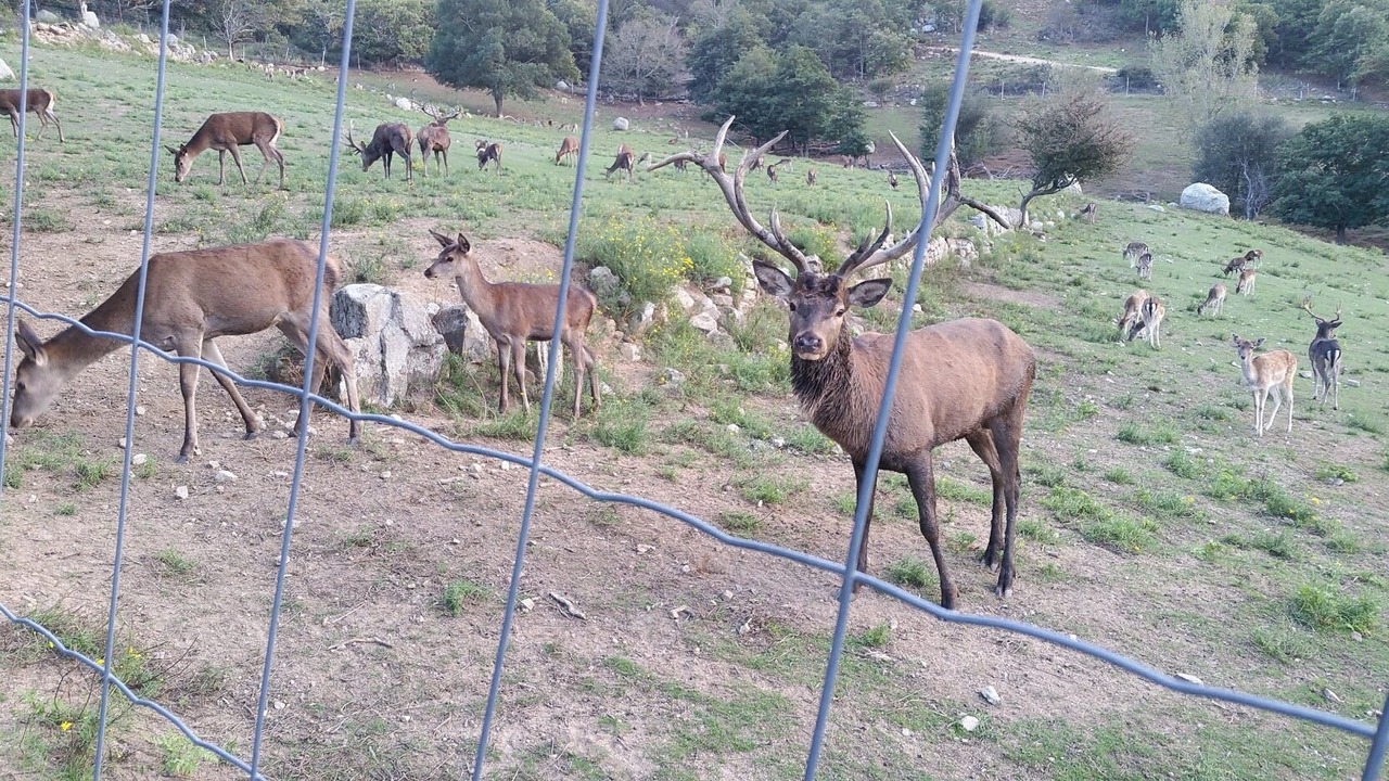 Photo of Outdoor in Maureillas-Las-Illas