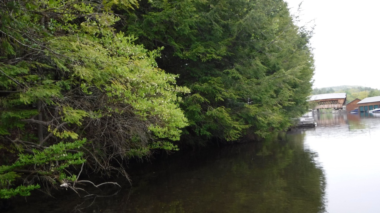 Photo of Outdoor in Ashland