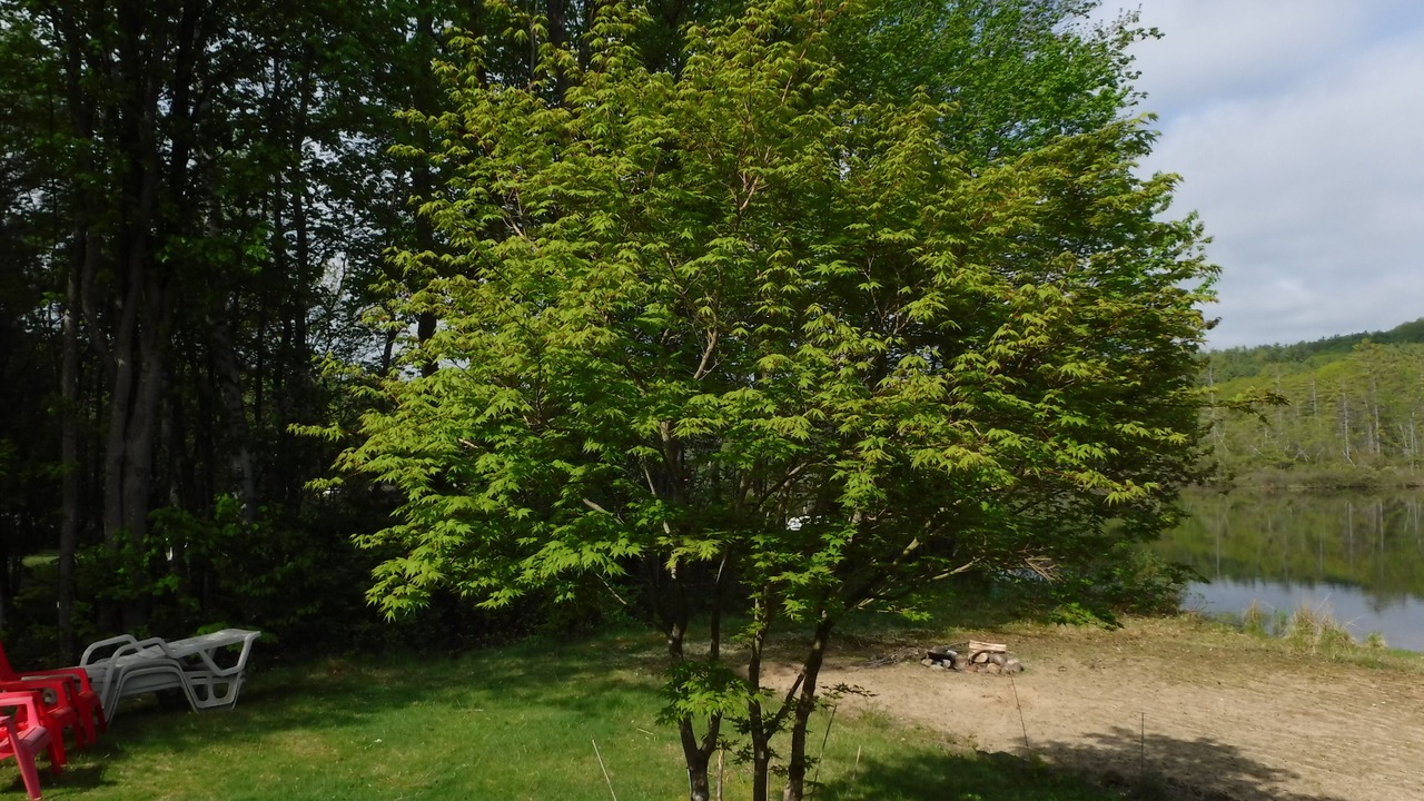 Photo of Outdoor in Ashland