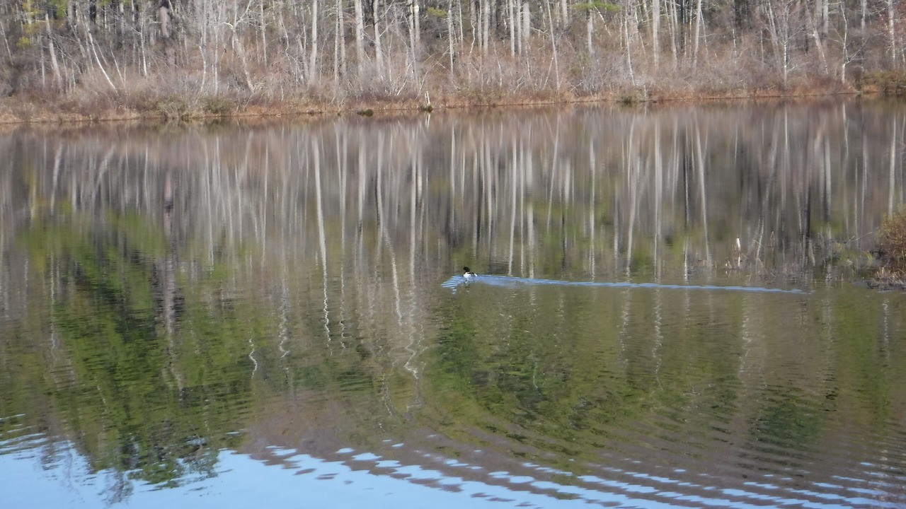 Photo of Outdoor in Ashland