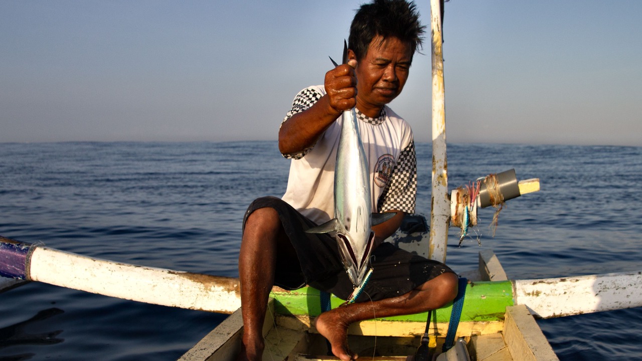 Photo of Others in Jungut Batu
