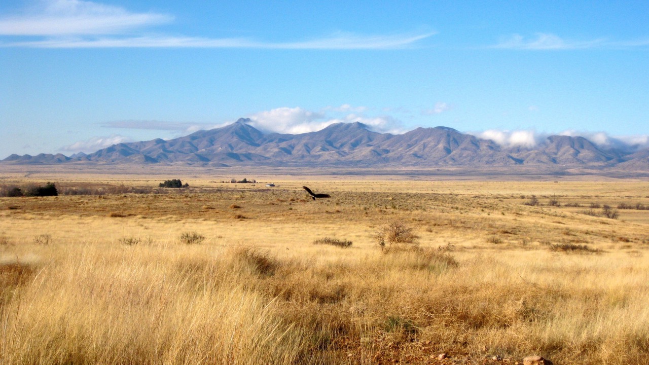 Photo of Others in Pearce