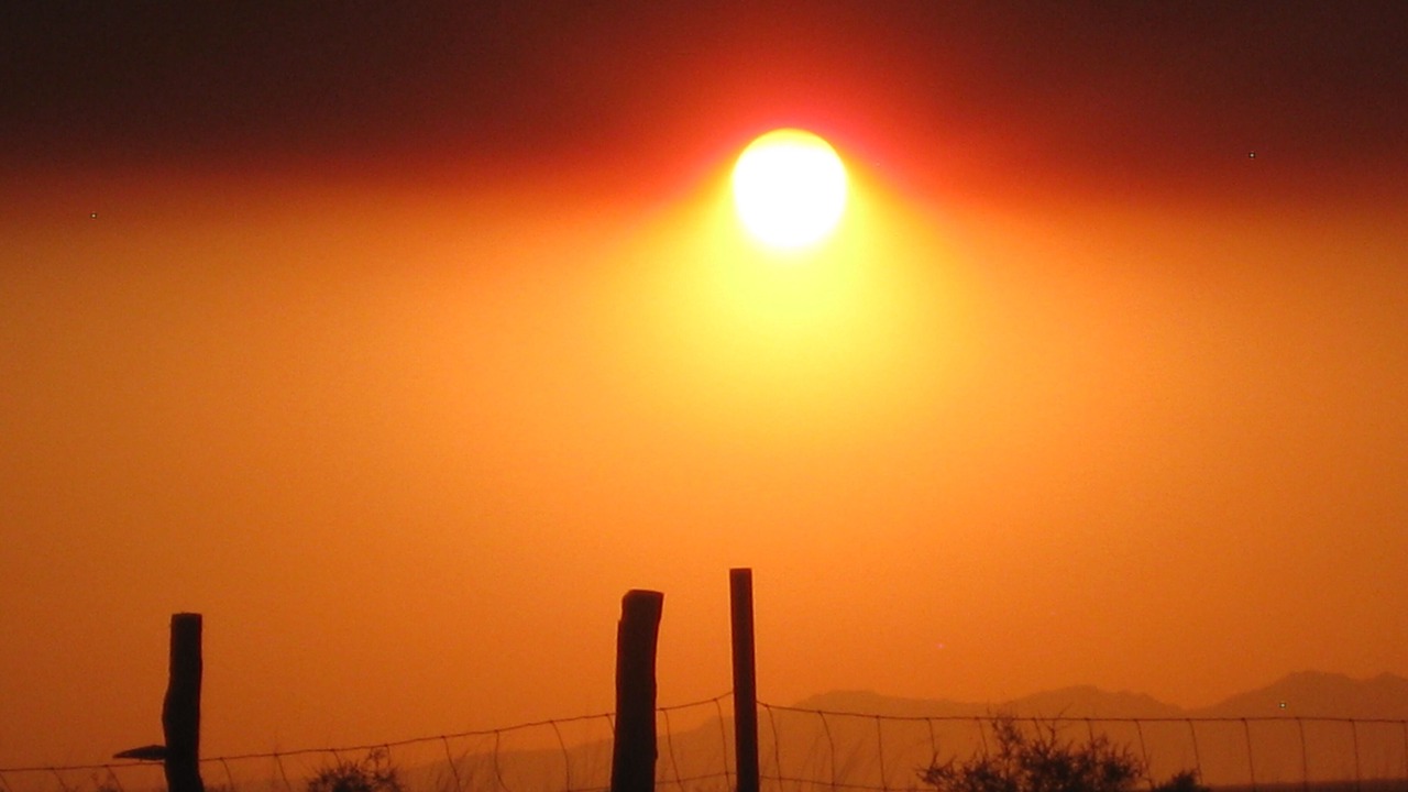 Photo of Outdoor in Pearce