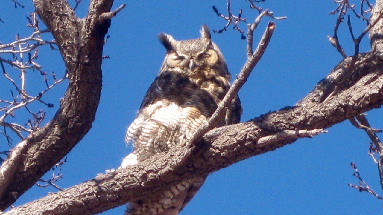 Photo of Outdoor in Pearce