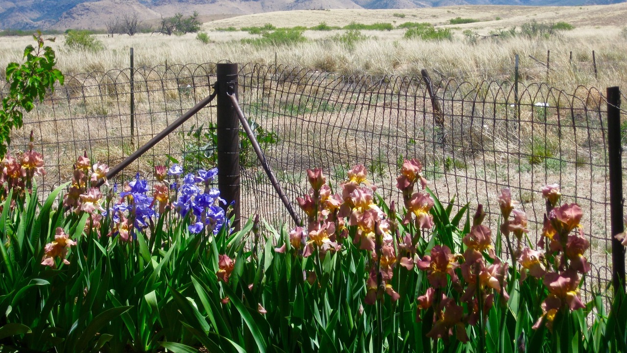 Photo of Outdoor in Pearce