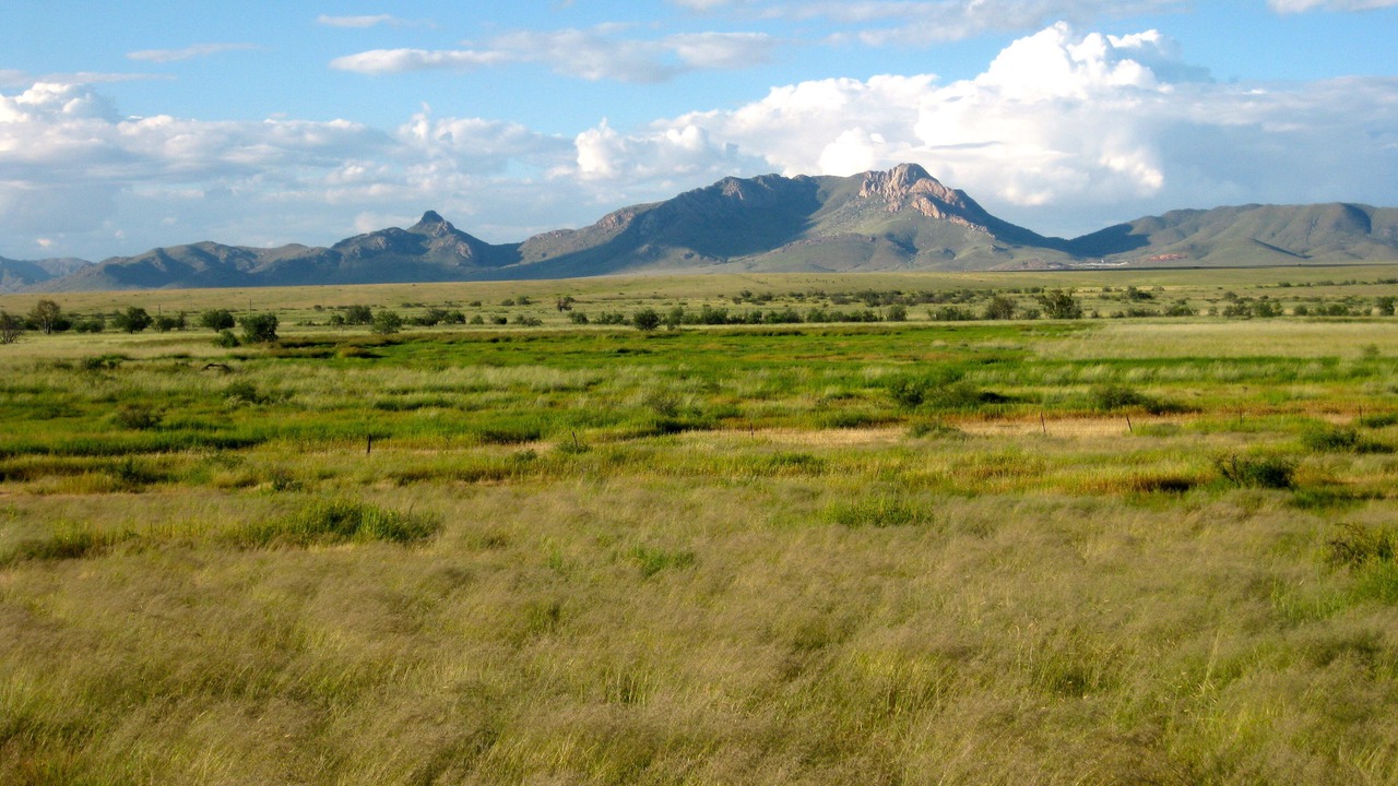 Photo of Outdoor in Pearce