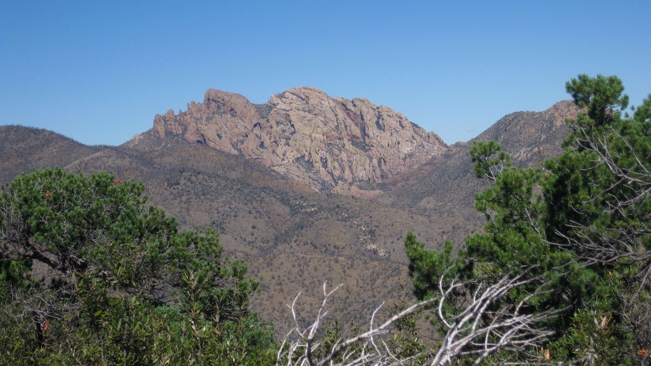 Photo of Others in Pearce