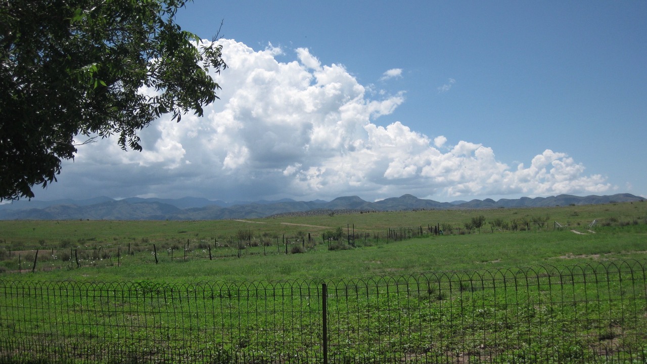 Photo of Outdoor in Pearce