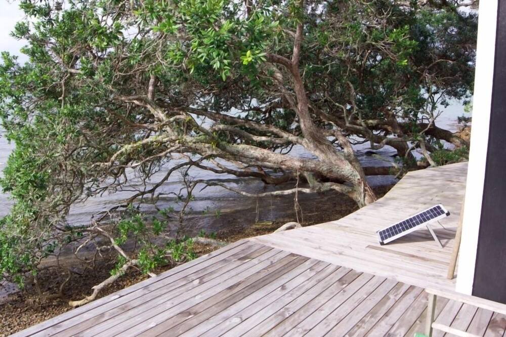 Photo of Others in Te Tii