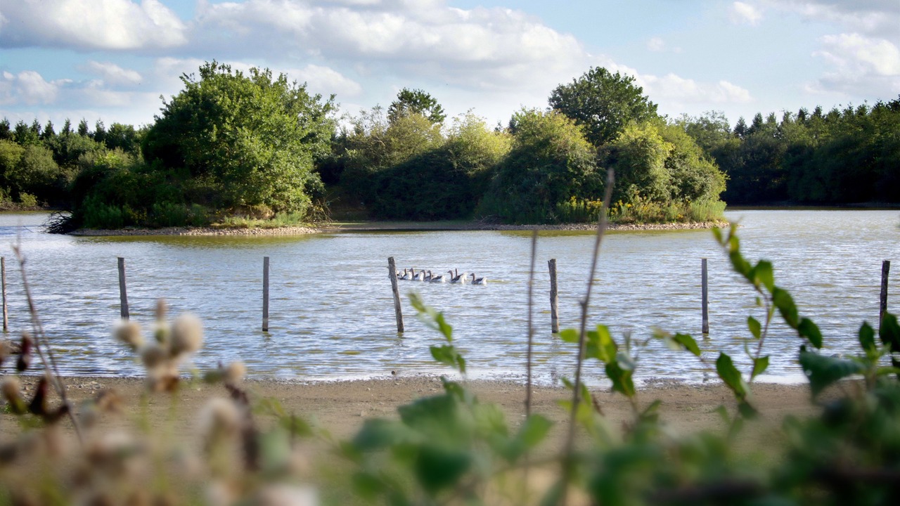 Photo of Outdoor in Moisdon-la-Riviere