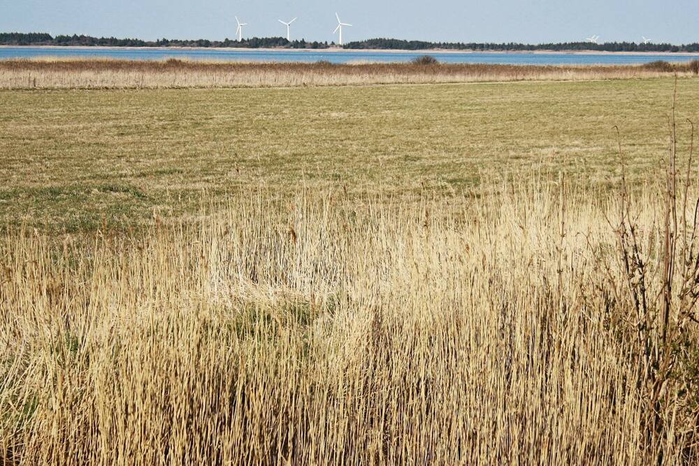 Photo of Others in Thorsminde