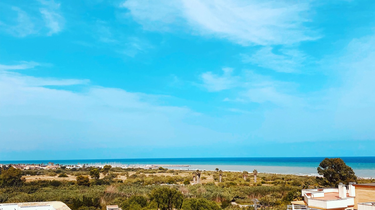 Photo of Others in Sagunto