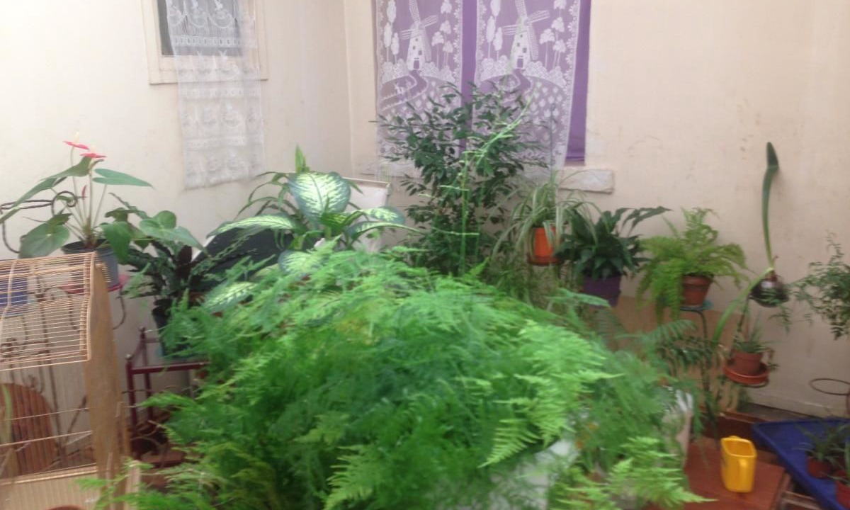 Photo of Patio Balcony in Saint Sever