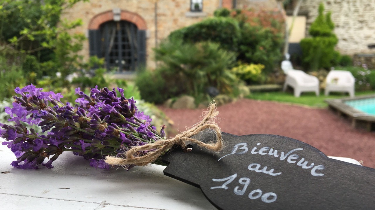 Photo of Outdoor in Antrain