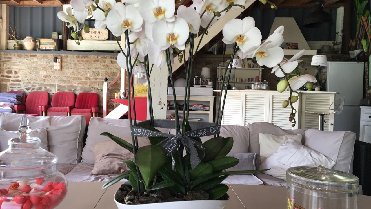 Photo of Others in Antrain