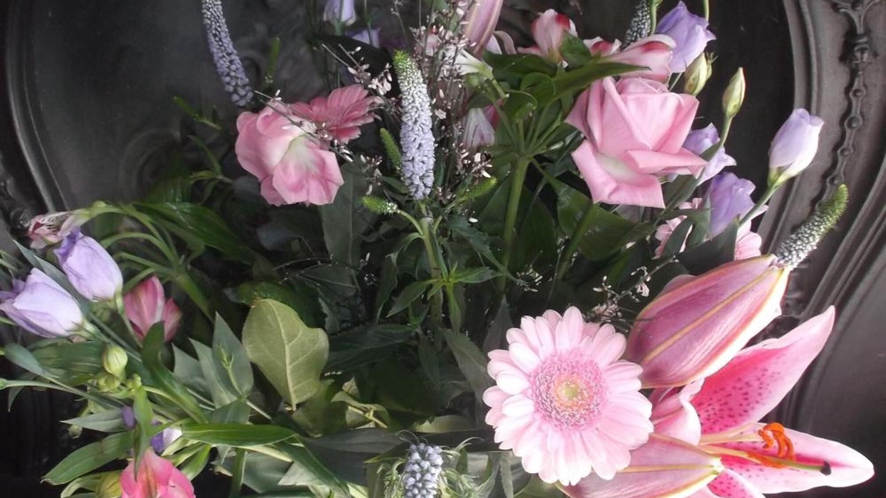 Photo of Others in Botley