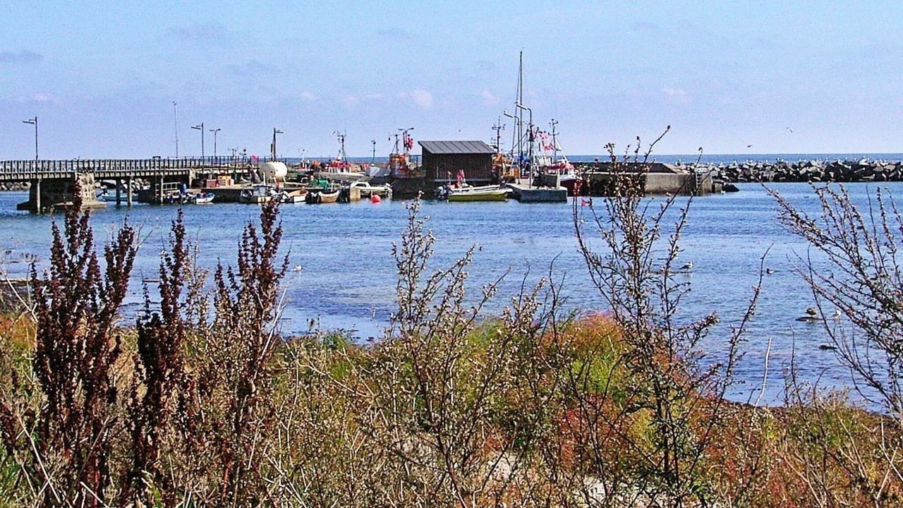 Photo of Outdoor in Bedegaard