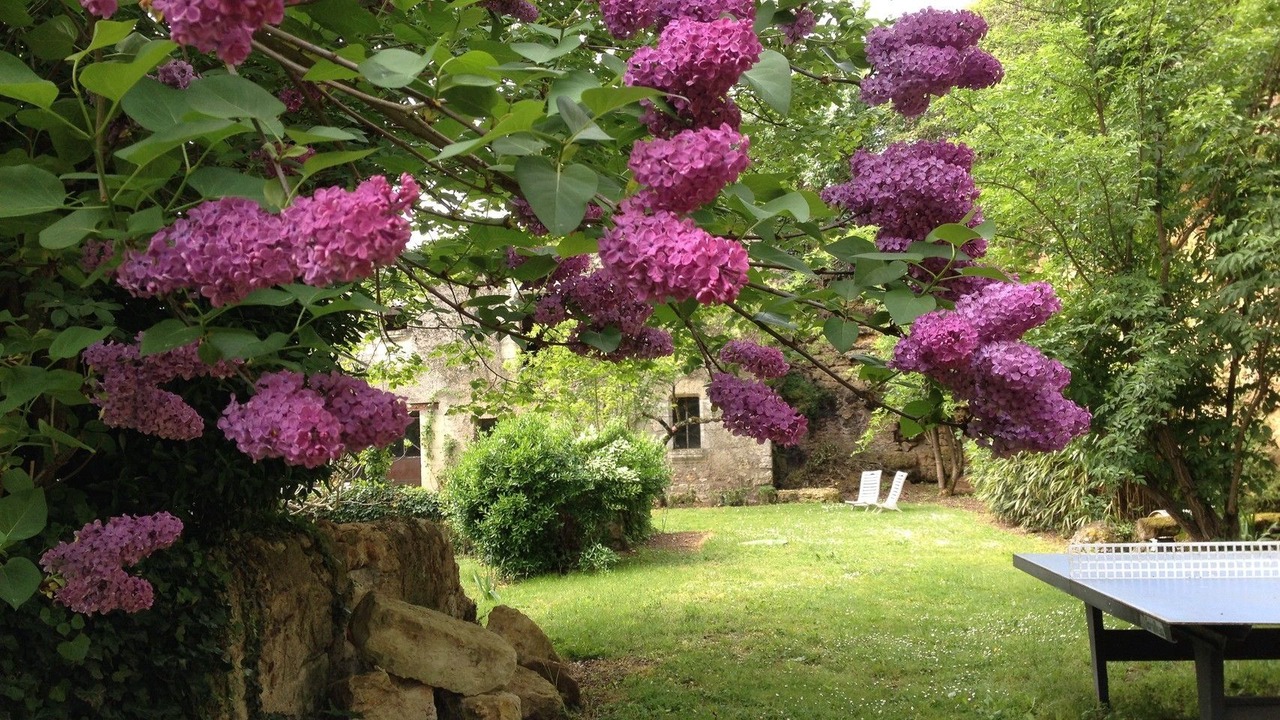 Photo of Outdoor in Montreuil-Bellay