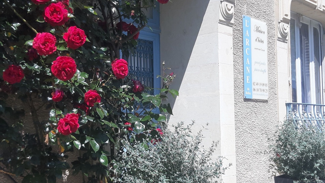 Photo of Outdoor in Montreuil-Bellay