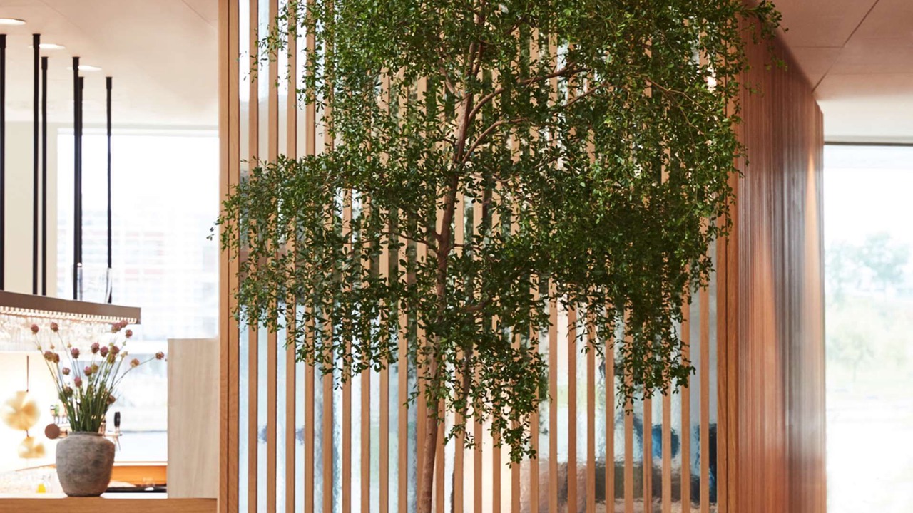 Photo of Others in Sønderborg