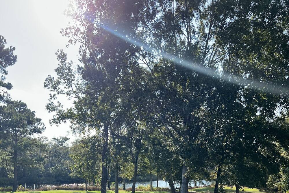 Photo of Outdoor in Biloxi