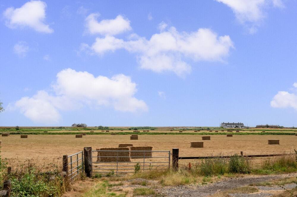 Photo of Others in Woodbridge