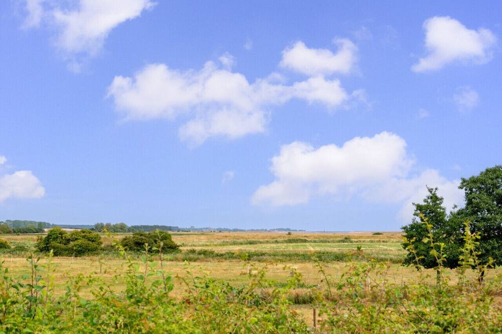 Photo of Outdoor in Woodbridge